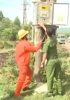 Phối hợp xử lý vi phạm hành chính trong lĩnh vực điện lực ở Bình Định