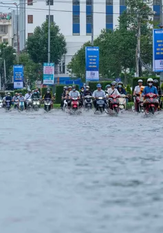 Cần Thơ: Xử lý nghiêm việc vứt rác bừa bãi ảnh hưởng thoát nước khi triều cường