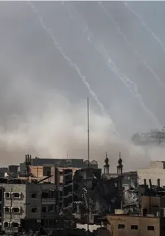 Israel sẽ ngừng bắn nhân đạo 4 tiếng/ngày, toàn bộ Dải Gaza mất an ninh lương thực