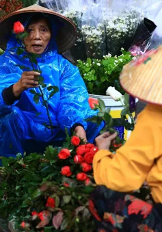Hà Nội: Người dân mưu sinh trong cái rét đầu đông