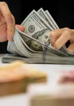 FED được dự báo giảm lãi suất liên tục từ năm 2024