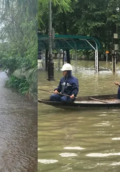 Thừa Thiên - Huế khắc phục điện và môi trường sau lũ