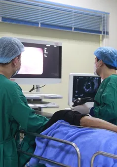 Thiếu máu nặng do giun móc ký sinh trong đường ruột