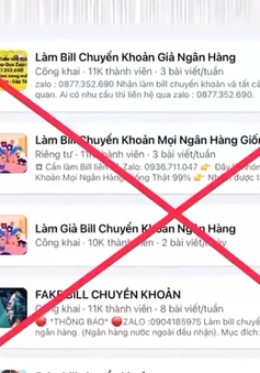 Tràn lan hội nhóm làm giả biên lai chuyển khoản ngân hàng