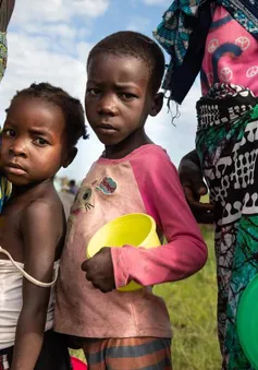 UNICEF kêu gọi hơn 9 tỷ USD cho hoạt động nhân đạo năm 2024