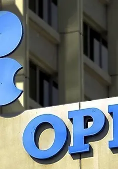 OPEC giữ nguyên dự báo về nhu cầu dầu mỏ