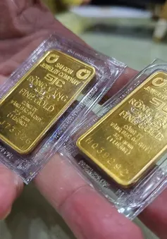 Giá vàng miếng SJC lập kỷ lục mới