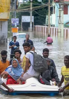 Hàng trăm người mắc kẹt do lũ lụt ở Tamil Nadu (Ấn Độ) sau mưa lớn