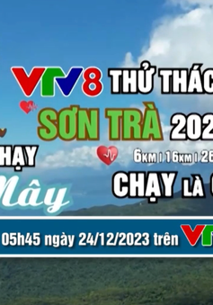 Giải chạy "VTV8 - Thử Thách Sơn Trà 2023" đã sẵn sàng