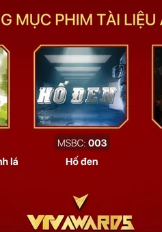 VTV Awards 2023: Gọi tên Top 3 Phim tài liệu ấn tượng!