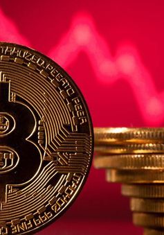 Những "cơn địa chấn" trong năm 2024 có thể đẩy Bitcoin lên 100.000 USD