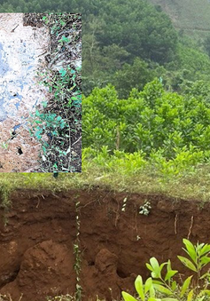 Quảng Nam: Xuất hiện hố sâu hơn 10 mét ở huyện Tiên Phước