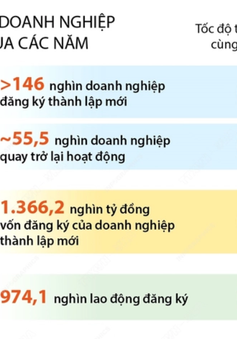 11 tháng năm 2023, số doanh nghiệp thành lập mới tăng 6%