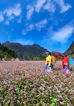 Điện ảnh "dẫn lối" để du lịch Hà Giang cất cánh