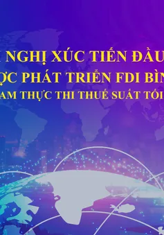 Xúc tiến đầu tư - Chiến lược thu hút FDI Bình Dương bối cảnh Việt Nam thực thi thuế suất tối thiểu toàn cầu