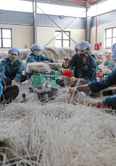 Lắng nghe thị trường, doanh nghiệp linh hoạt sản xuất hàng Tết