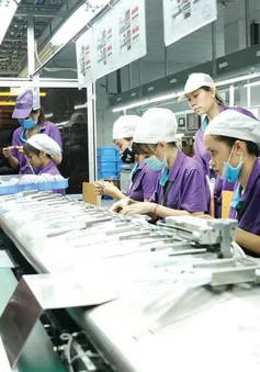 Bắt đầu điều tra doanh nghiệp năm 2023