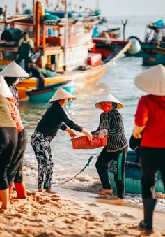 Đợi cá lúc bình minh ở làng chài Nhân Trạch