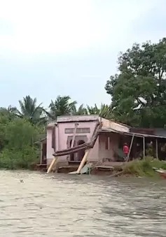 Sạt lở ám ảnh người dân sống trên các cồn ven sông ở ĐBSCL