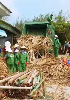 Tháo dỡ công trình trái phép ở biển Vũng Tàu