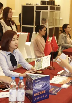 60 doanh nghiệp Tứ Xuyên (Trung Quốc) tìm cơ hội hợp tác với Việt Nam