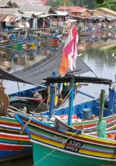 Thái Lan hạn chế lượng tàu cá