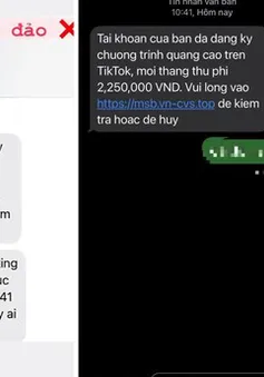 Suýt mất 280 triệu đồng vì chiêu lừa SMS ngân hàng