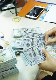 Moody's: Việt Nam có nhiều thuận lợi để tăng dự trữ ngoại hối