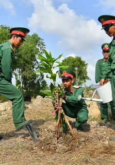 Trồng gần 5.000 cây xanh kỷ niệm Ngày sinh nhật Bác