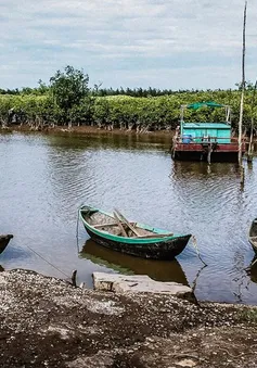 Vườn quốc gia Xuân Thủy dừng hoạt động trải nghiệm sau vụ tai nạn làm 2 người chết