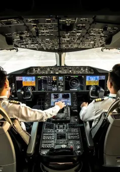 Tạm đình chỉ bay phi công Vietnam Airlines nghi dương tính với ketamine