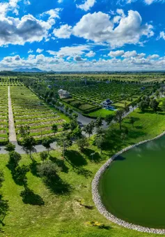 Hoa viên nghĩa trang sinh thái Sala: Tôn vinh một cuộc đời trọn vẹn