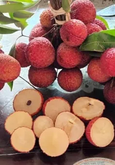 Vải thiều không hạt giá 250.000 đồng/kg