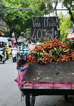 Vải thiều vào Nam, giá từ 26.000 đồng/kg