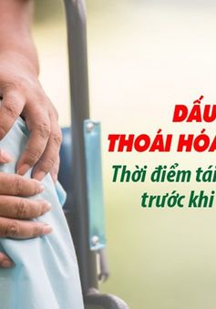 Dấu hiệu thoái hóa khớp gối - Thời điểm tái tạo sụn khớp trước khi quá muộn