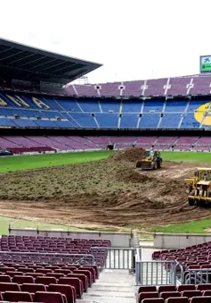 Barcelona bắt đầu tiến hành nâng cấp sân Nou Camp