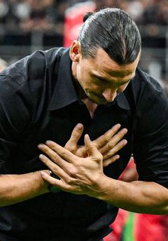 Ibrahimovic giải nghệ