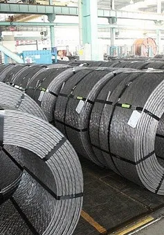 Bộ Công Thương gia hạn ban hành quyết định điều tra áp dụng chống bán phá giá cáp thép