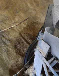 EU gia hạn lệnh cấm ngũ cốc Ukraine tại 5 nước thành viên