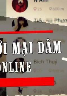 Tràn lan môi giới mại dâm online