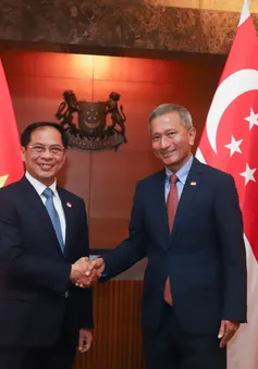 Tăng cường hợp tác an ninh quốc phòng, thúc đẩy quan hệ Việt Nam - Singapore