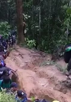 Darien Gap - khu rừng ‘tử thần’ giữa Panama và Colombia