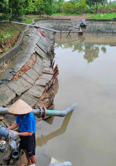 Hàng nghìn hộ dân Hải Phòng bức xúc vì dùng nước có... sinh vật lạ