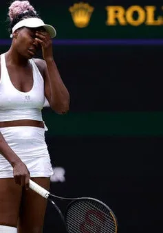 Venus Williams dừng bước ngay tại vòng 1 Wimbledon 2023