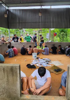 Triệt xóa trường gà, thu giữ một khẩu súng