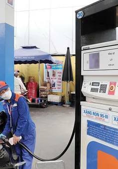 Thuế nhập khẩu xăng dầu giảm từ đầu quý III