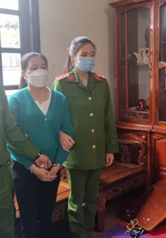 Nữ kế toán lừa đảo hơn 10 tỷ đồng
