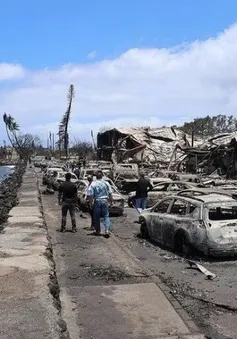 Số người tử vong vì cháy rừng ở Hawaii tăng lên 80, Mỹ bắt tay điều tra