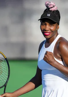 Nghị lực ở tuổi 43 của Venus Williams