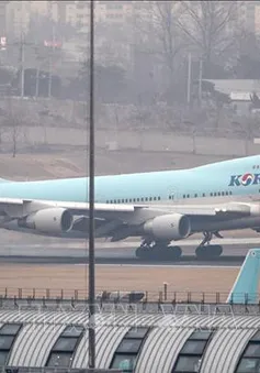 Korean Air sẽ cân hành khách và hành lý xách tay trước chuyến bay
